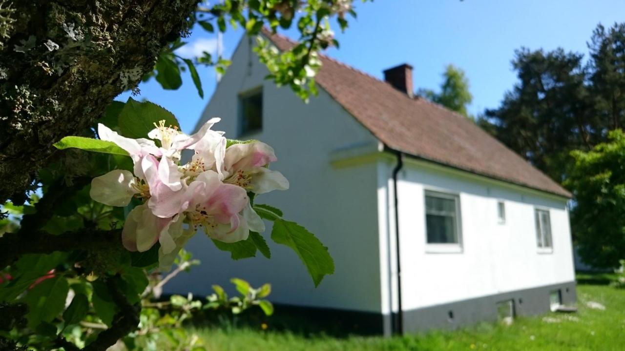 Oesterlencharm Loderup Экстерьер фото